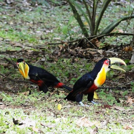 Yasi Yatere Reserva Agroecologica El Soberbio Buitenkant foto