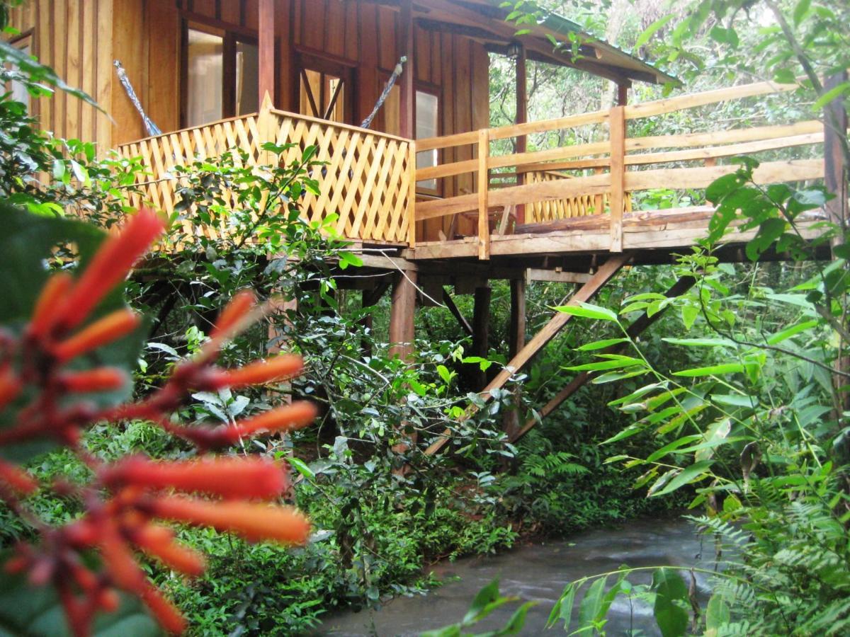 Yasi Yatere Reserva Agroecologica El Soberbio Buitenkant foto