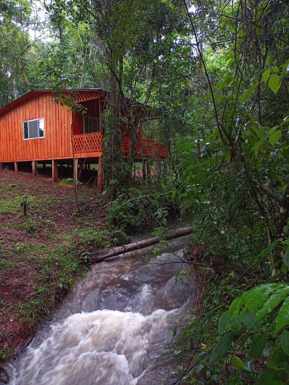 Yasi Yatere Reserva Agroecologica El Soberbio Buitenkant foto