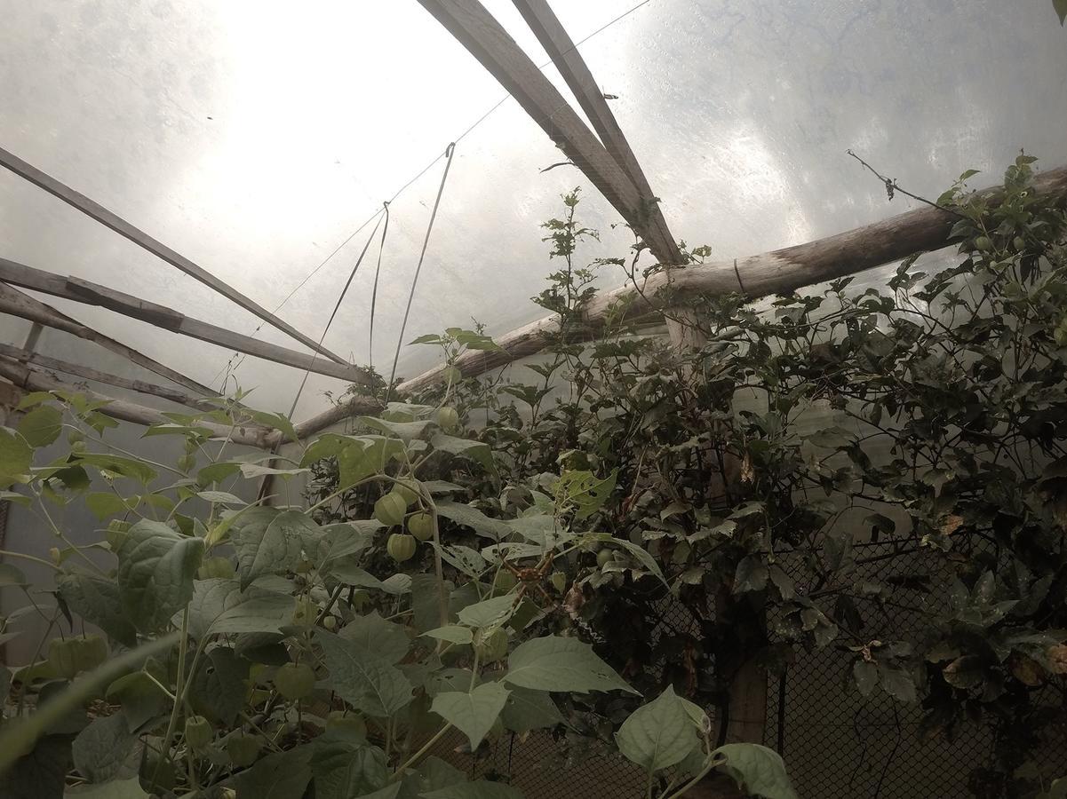 Yasi Yatere Reserva Agroecologica El Soberbio Buitenkant foto