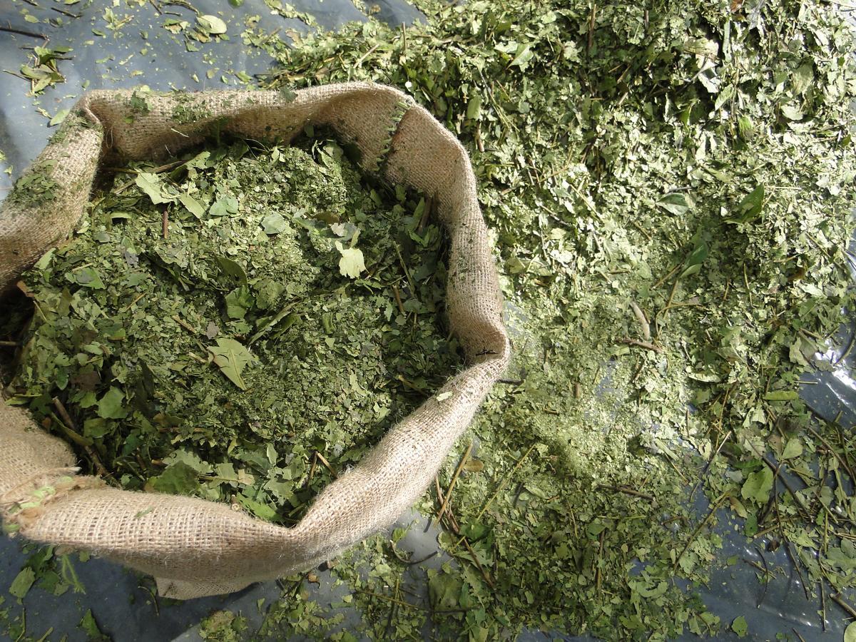 Yasi Yatere Reserva Agroecologica El Soberbio Buitenkant foto