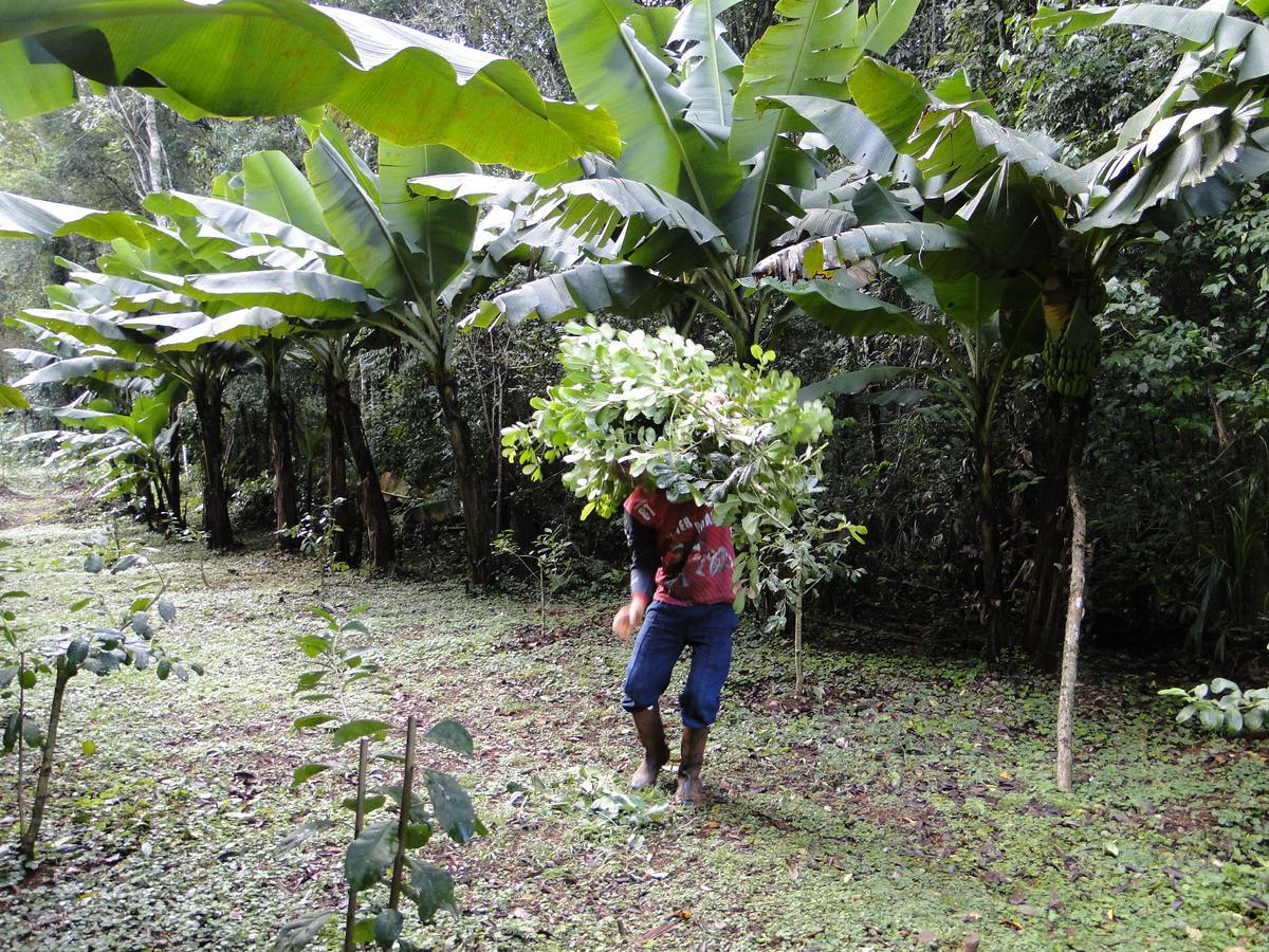 Yasi Yatere Reserva Agroecologica El Soberbio Buitenkant foto