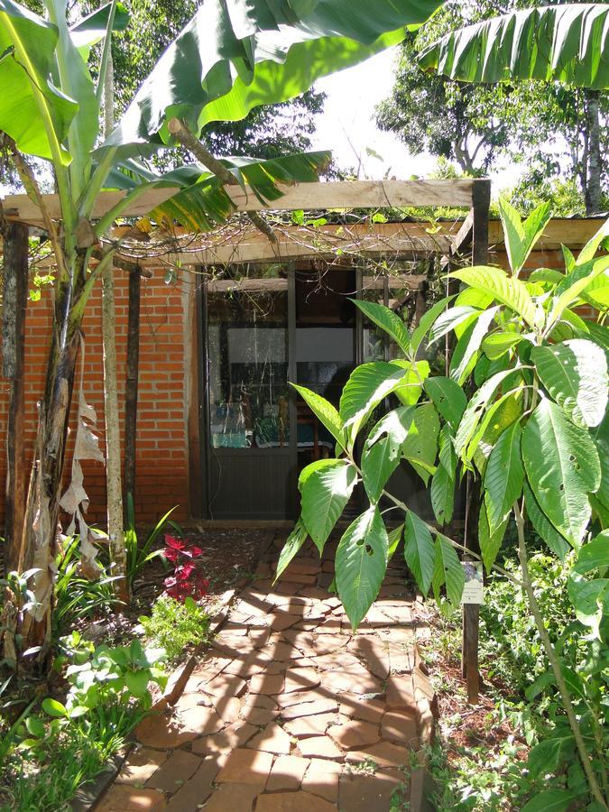 Yasi Yatere Reserva Agroecologica El Soberbio Buitenkant foto